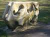 dscn0100_small.jpg