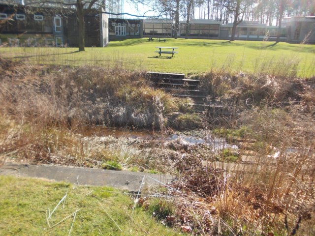 dscn0103.jpg