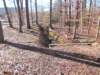 dscn0111_small.jpg