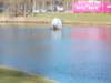 dscn0113_small.jpg