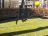 dscn0117_small.jpg