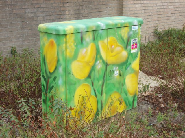 dscn0274.jpg