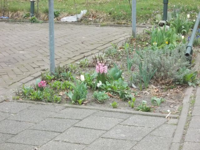 dscn0276.jpg
