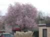dscn0277_small.jpg