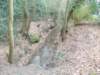 dscn0283_small.jpg