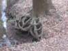 dscn0284_small.jpg