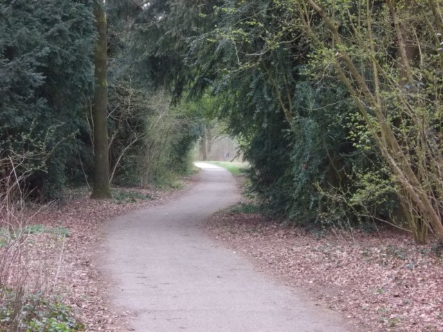 dscn0285.jpg