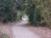 dscn0285_small.jpg
