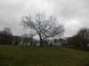 dscn0287_small.jpg