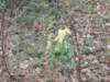 dscn0288_small.jpg
