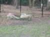 dscn0296_small.jpg