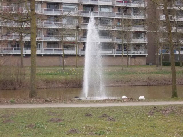 dscn0300.jpg