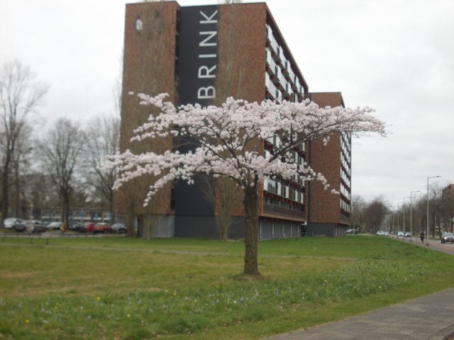 dscn0302.jpg