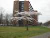 dscn0302_small.jpg