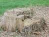 dscn0311_small.jpg