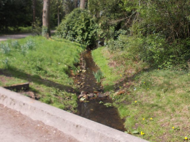 dscn0509.jpg