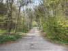 dscn0510_small.jpg