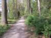 dscn0515_small.jpg