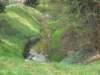 dscn0516_small.jpg
