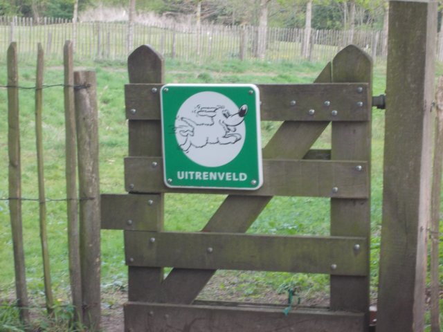 dscn0519.jpg