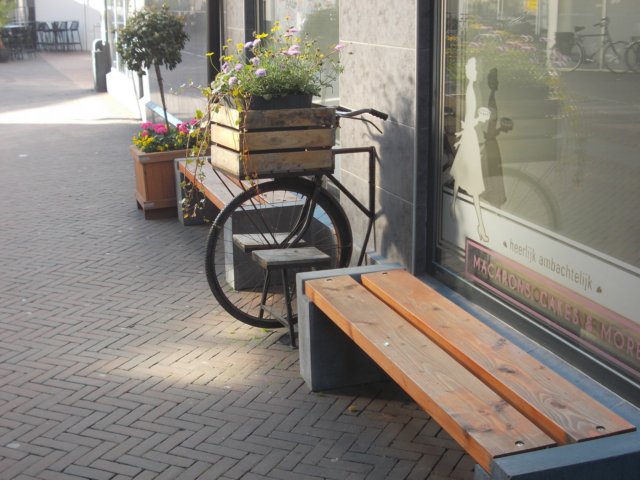 dscn0589.jpg
