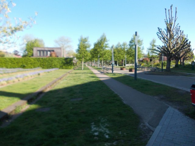 dscn0602.jpg