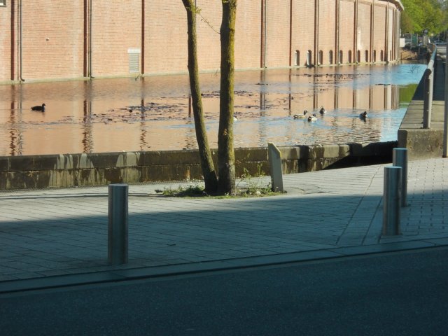 dscn0609.jpg