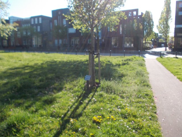 dscn0614.jpg