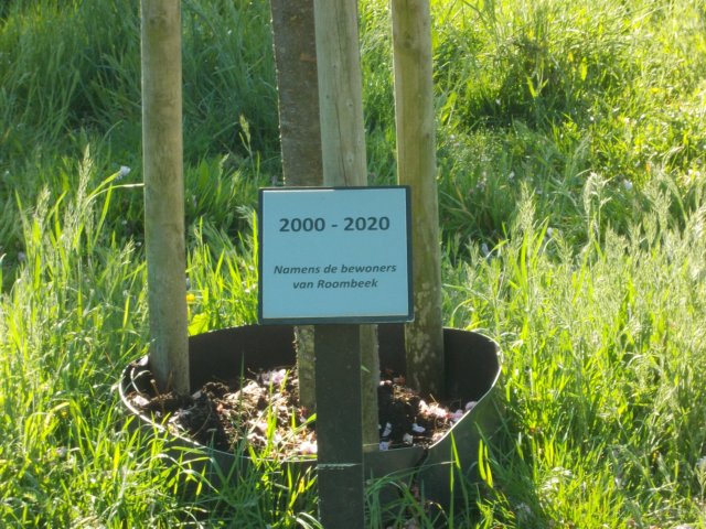 dscn0615.jpg