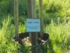 dscn0615_small.jpg