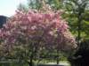 dscn0619_small.jpg
