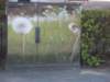 dscn0622_small.jpg