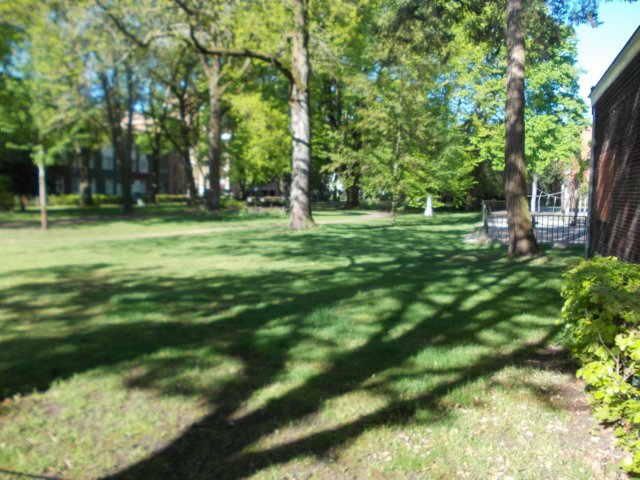 dscn0623.jpg