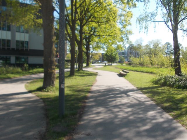 dscn0656.jpg
