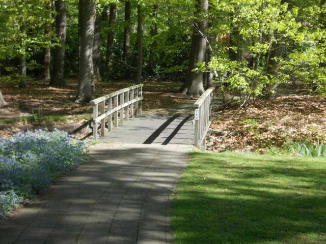 dscn0665.jpg