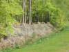 dscn0675_small.jpg