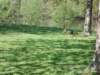 dscn0680_small.jpg