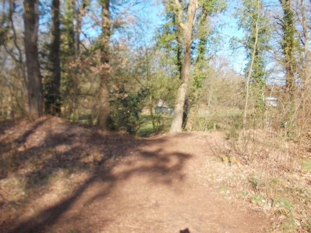 dscn0321.jpg