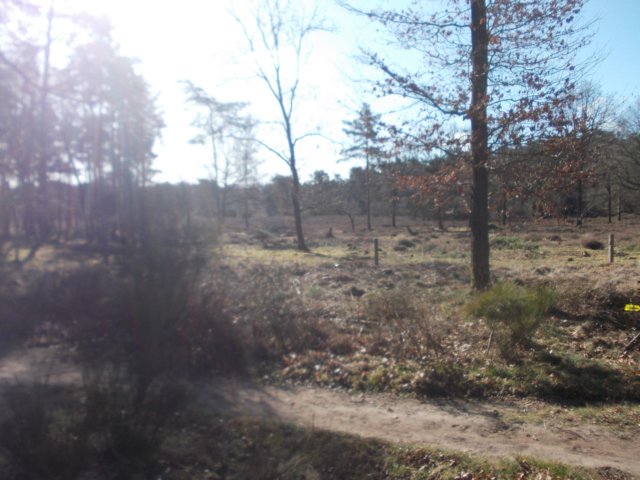 dscn0323.jpg