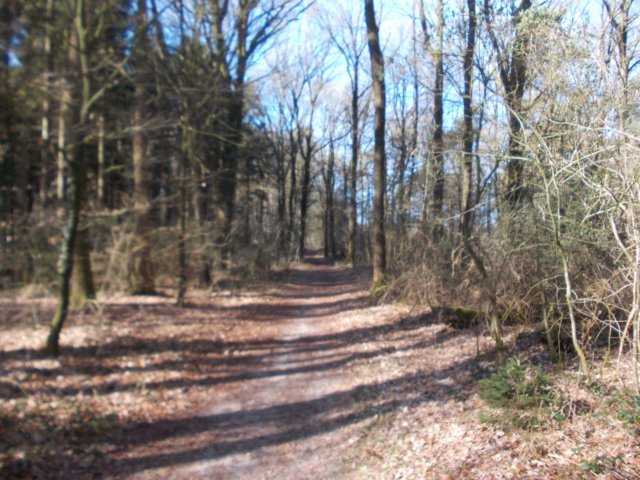 dscn0326.jpg
