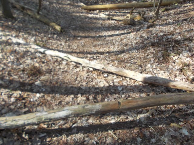 dscn0327.jpg