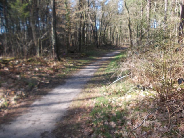 dscn0329.jpg