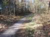 dscn0329_small.jpg