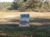 dscn0331_small.jpg