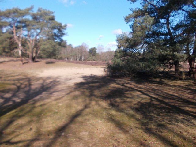 dscn0332.jpg