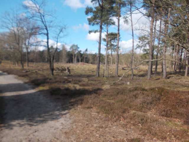 dscn0335.jpg