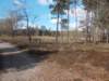 dscn0335_small.jpg