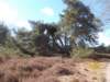 dscn0336_small.jpg