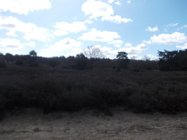 dscn0337.jpg