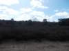 dscn0337_small.jpg
